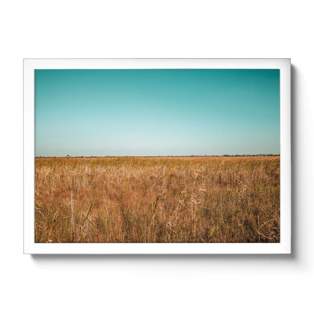 Everglades – Bild 4