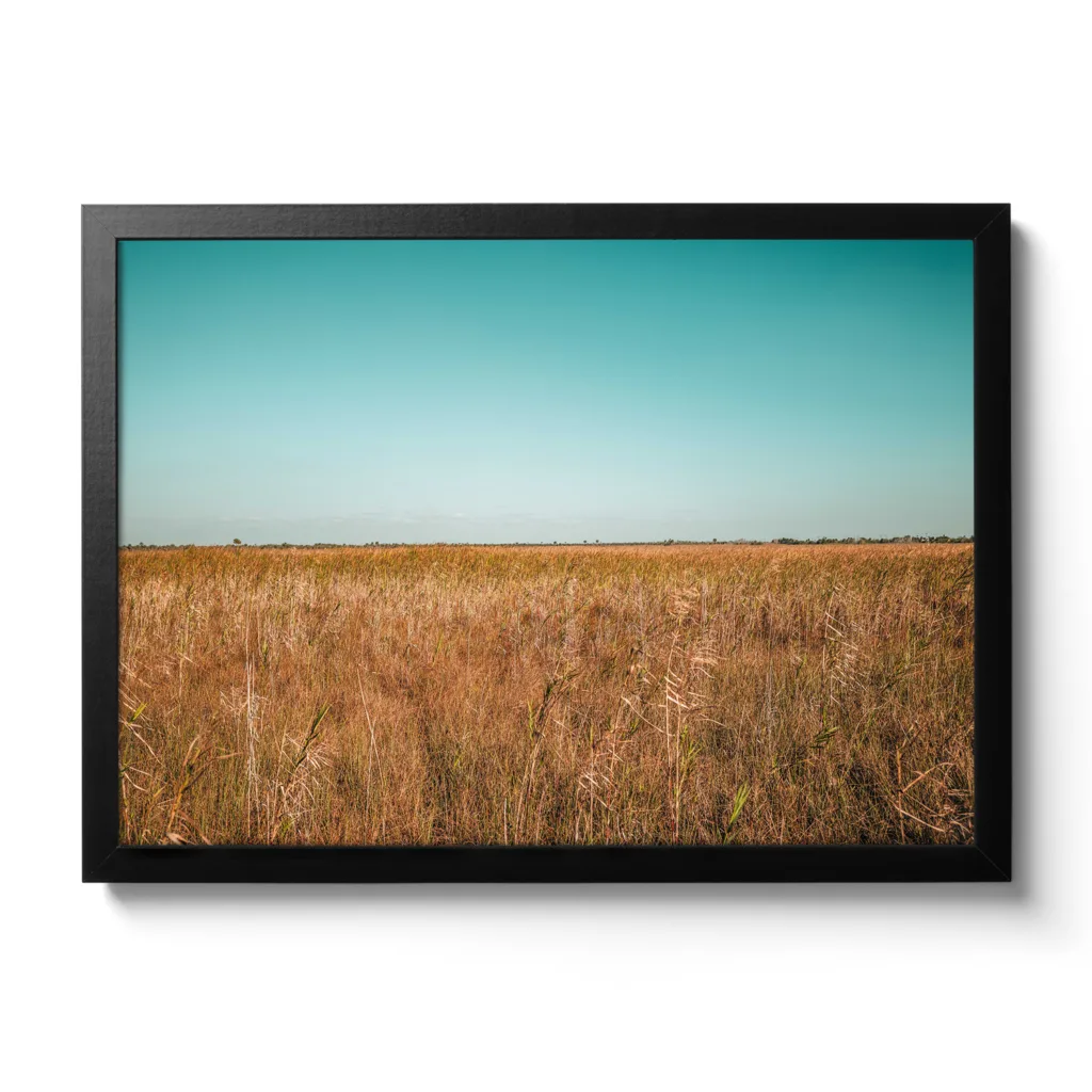 Landscape Bildaufnahme von den Sümpfen der Everglades in Miami. Blauer Himmel und braunes Gestrüpp.
