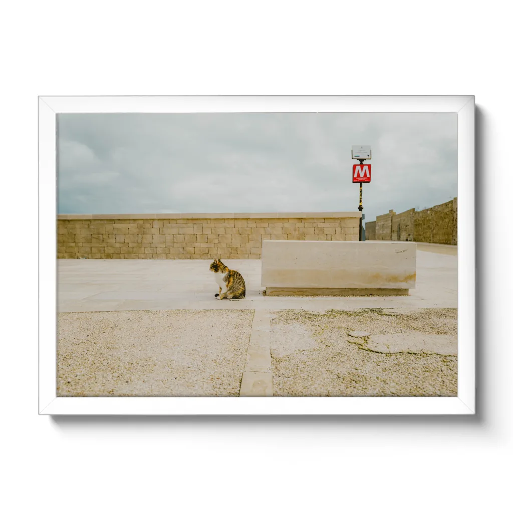 Bildaufnahme einer gestreiften Katze die in die Ferne sieht und dahinter befindet sich ein "M" Schild für Metro.
