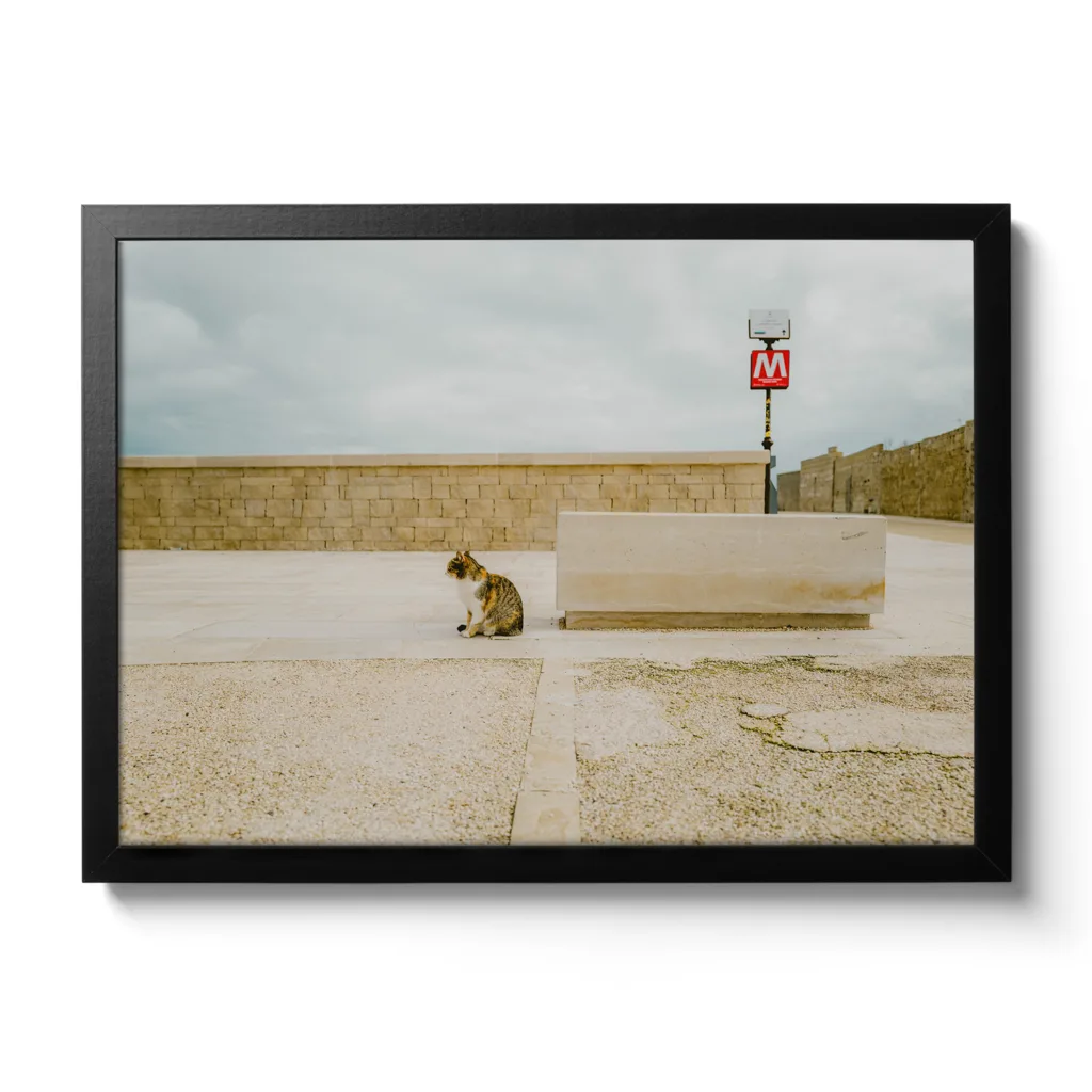 Bildaufnahme einer gestreiften Katze die in die Ferne sieht und dahinter befindet sich ein "M" Schild für Metro.